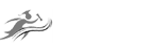Admission Partner